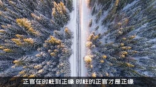 正官在时柱到正缘（时柱的正官才是正缘）
