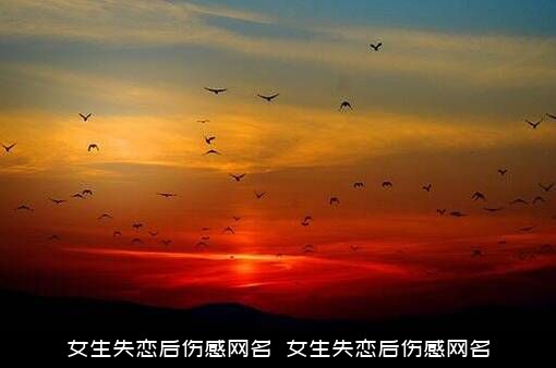 女生失恋后伤感网名（​女生失恋后伤感网名）