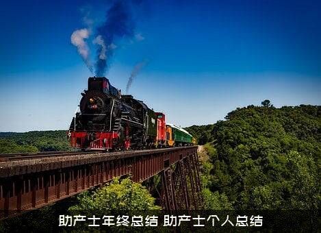助产士年终总结（助产士个人总结）