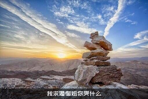 我求婚御姐你哭什么