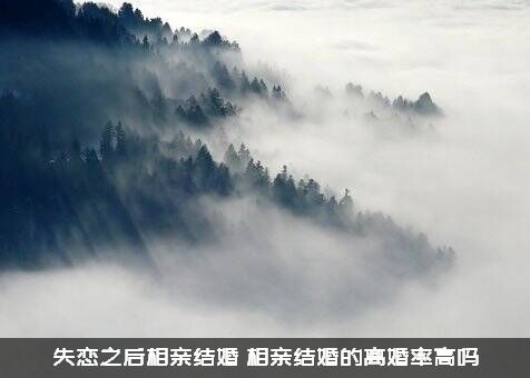 失恋之后相亲结婚（相亲结婚的离婚率高吗）