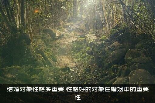 结婚对象性格多重要（性格好的对象在婚姻中的重要性）