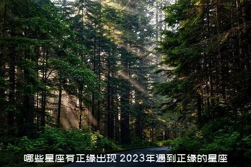 哪些星座有正缘出现（2023年遇到正缘的星座）
