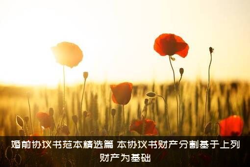 婚前协议书范本精选篇（本协议书财产分割基于上列财产为基础）