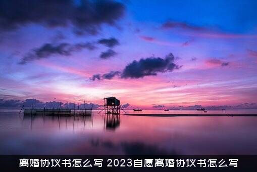 离婚协议书怎么写（2023自愿离婚协议书怎么写）