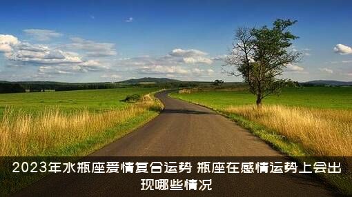 2023年水瓶座爱情复合运势（瓶座在感情运势上会出现哪些情况）