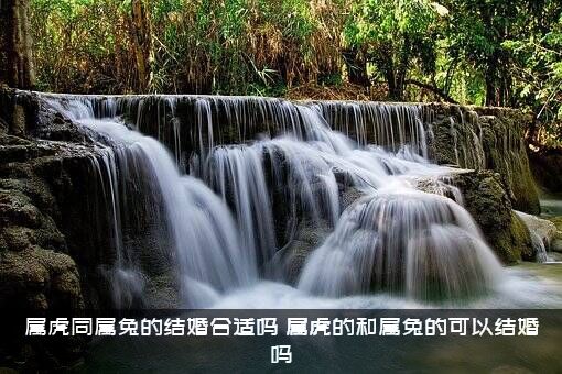 属虎同属兔的结婚合适吗（属虎的和属兔的可以结婚吗）