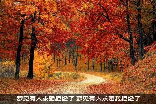 梦见有人求婚拒绝了（梦见有人求婚我拒绝了）