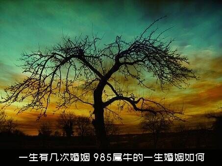 一生有几次婚姻（985属牛的一生婚姻如何）