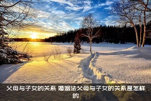 父母与子女的关系（婚姻法父母与子女的关系是怎样的）