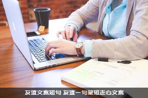 友谊文案短句（友谊一句简短走心文案）