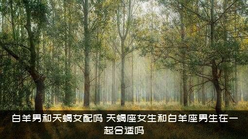 白羊男和天蝎女配吗（天蝎座女生和白羊座男生在一起合适吗）