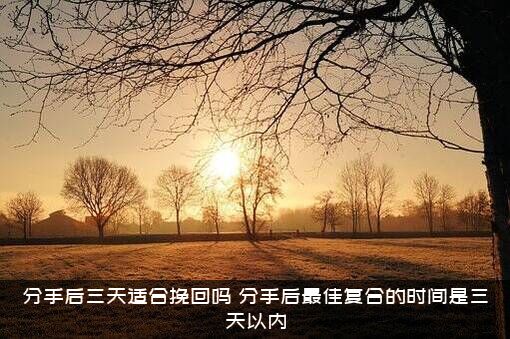 分手后三天适合挽回吗？分手后最佳复合的时间是三天以内