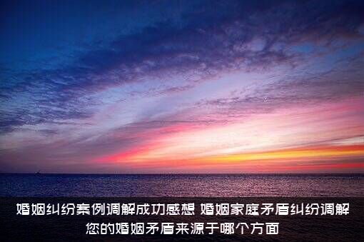 婚姻纠纷案例调解成功感想（婚姻家庭矛盾纠纷调解您的婚姻矛盾来源于哪个方面）