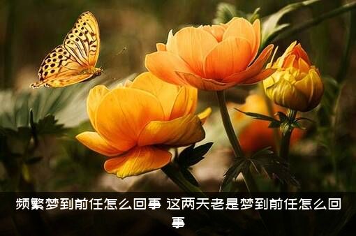 频繁梦到前任怎么回事（这两天老是梦到前任怎么回事）