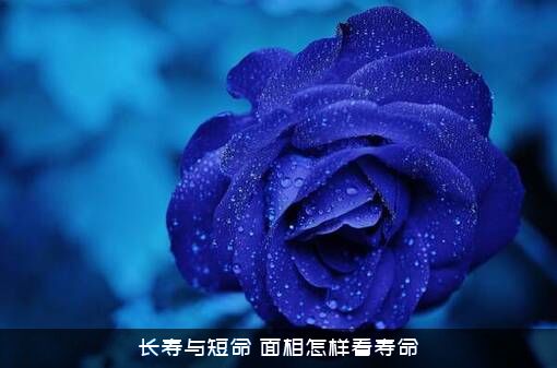 长寿与短命（面相怎样看寿命）