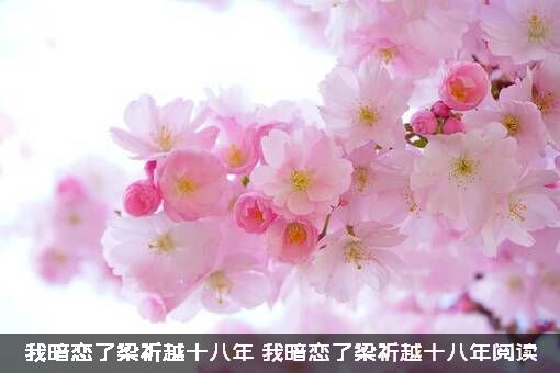 我暗恋了梁祈越十八年（我暗恋了梁祈越十八年阅读）