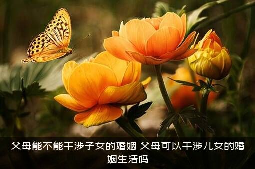 父母能不能干涉子女的婚姻？父母可以干涉儿女的婚姻生活吗？