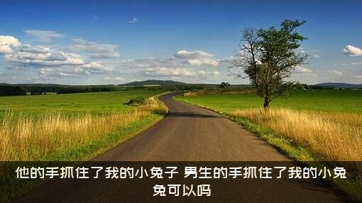 他的手抓住了我的小兔子（男生的手抓住了我的小兔兔可以吗）