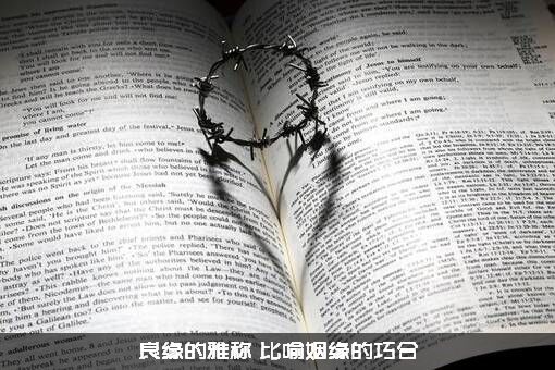 良缘的雅称（比喻姻缘的巧合）