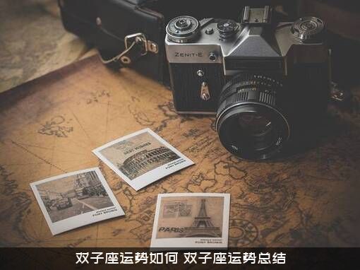 双子座运势如何（双子座运势总结）