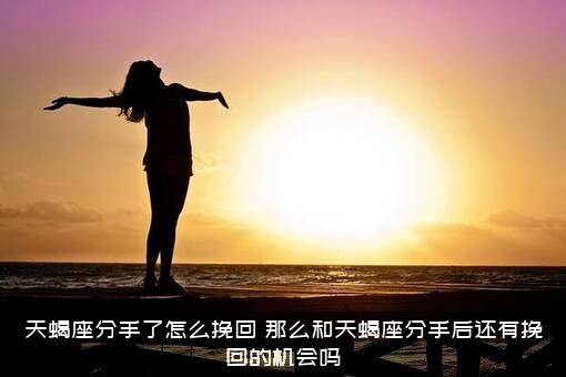 天蝎座分手了怎么挽回？那么和天蝎座分手后还有挽回的机会吗？