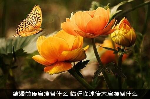 结婚前传启准备什么？临沂临沭传大启准备什么？