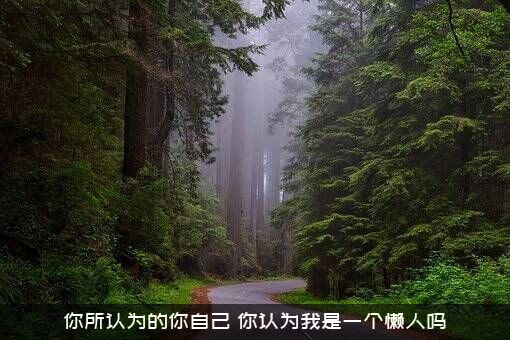 你所认为的你自己（你认为我是一个懒人吗）