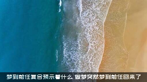 梦到前任复合预示着什么（做梦突然梦到前任回来了）
