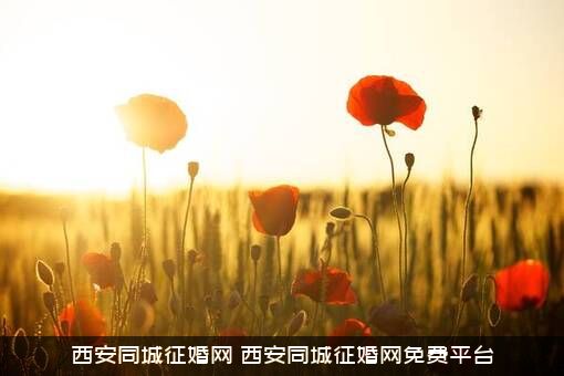 西安同城征婚网（西安同城征婚网免费平台）