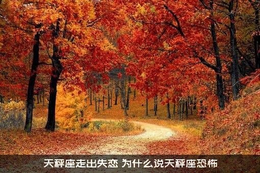 天秤座走出失恋（为什么说天秤座恐怖）