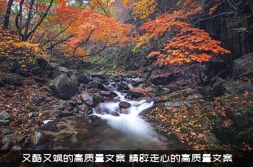 又酷又飒的高质量文案（精辟走心的高质量文案）