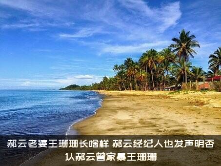郝云老婆王珊珊长啥样（郝云经纪人也发声明否认郝云曾家暴王珊珊）