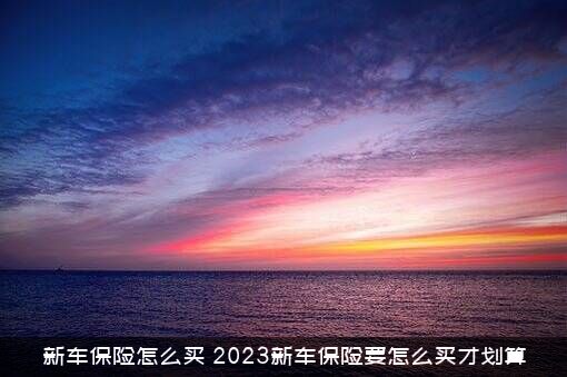 新车保险怎么买（2023新车保险要怎么买才划算）