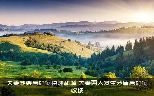 夫妻吵架后如何快速和解（夫妻两人发生矛盾后如何收场）