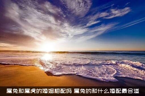 属兔和属虎的婚姻相配吗？属兔的和什么婚配最合适？