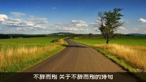 不辞而别（关于不辞而别的诗句）