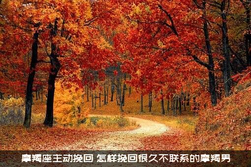 摩羯座主动挽回（怎样挽回很久不联系的摩羯男）