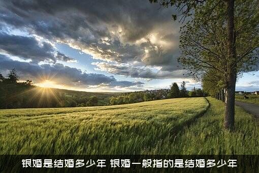 银婚是结婚多少年（银婚一般指的是结婚多少年）