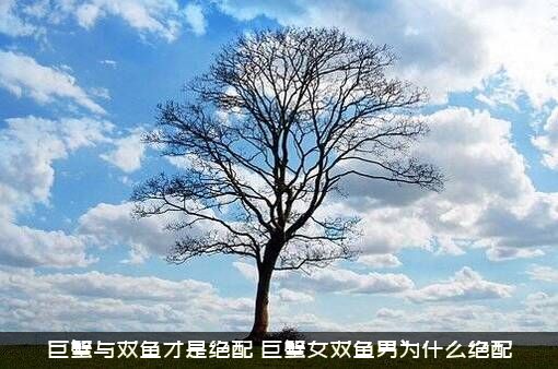 巨蟹与双鱼才是绝配（巨蟹女双鱼男为什么绝配）