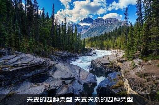 夫妻的四种类型（夫妻关系的四种类型）