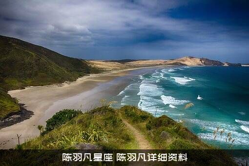 陈羽凡星座（陈羽凡详细资料）
