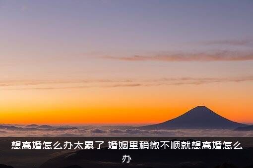 想离婚怎么办太累了（婚姻里稍微不顺就想离婚怎么办）