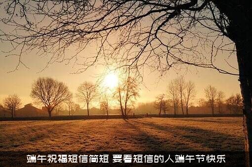 端午祝福短信简短（要看短信的人端午节快乐）