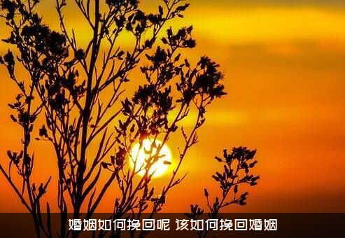 婚姻如何挽回呢？该如何挽回婚姻？