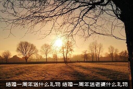 结婚一周年送什么礼物（结婚一周年送老婆什么礼物）