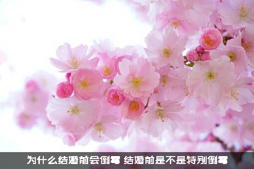 为什么结婚前会倒霉？结婚前是不是特别倒霉？