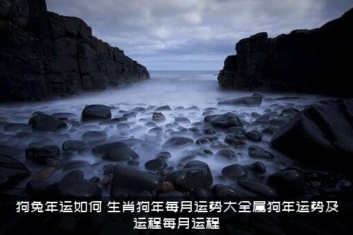 狗兔年运如何（生肖狗年每月运势大全属狗年运势及运程每月运程）