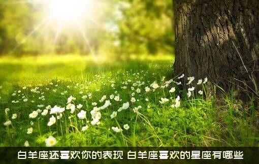 白羊座还喜欢你的表现（白羊座喜欢的星座有哪些）