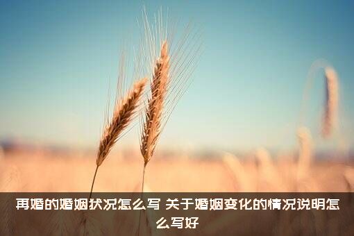 再婚的婚姻状况怎么写（关于婚姻变化的情况说明怎么写好）